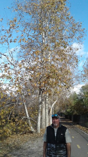 San Luis Rey River Trail - Easternmost Access Point - photo 25