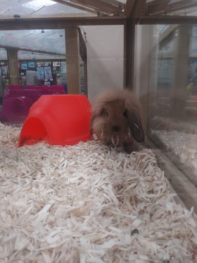 Pet Supply Store «Pet Supermarket», reviews and photos, 1080 Alafaya Trail, Oviedo, FL 32765, USA