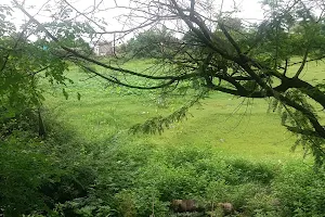 Sivankulam Pond image
