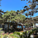 Photo n°1 de l'avis de Alex. fait le 09/07/2023 à 11:14 sur le  I Ginepri à Stintino