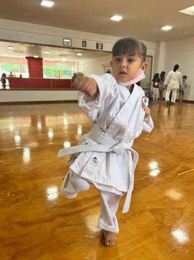 Karate Goyukan
