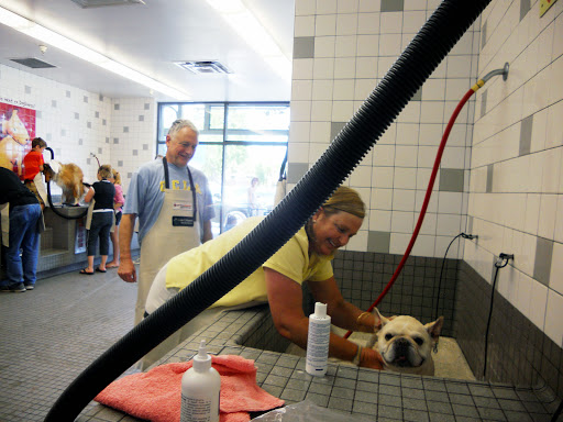 Pet Supply Store «Pet Food Express», reviews and photos, 3910 Middlefield Rd, Palo Alto, CA 94303, USA