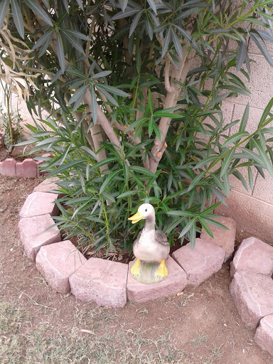 Park «Sueno Park», reviews and photos, 4401 W Encanto Blvd, Phoenix, AZ 85035, USA