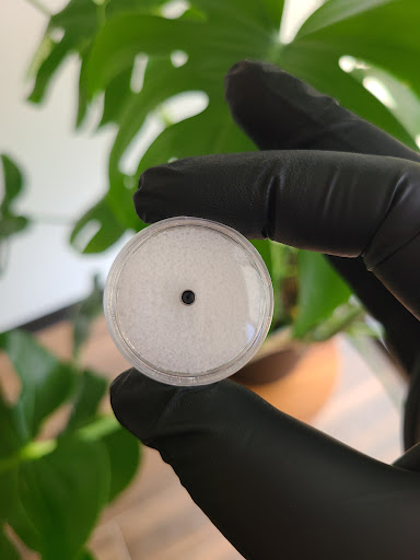 Explore clock tattoo idea, creative tattoo ideas in Nacogdoches, available at Primal Piercing & Jewelry