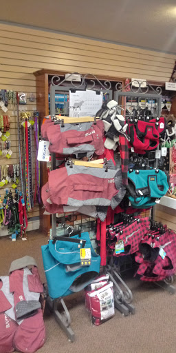 Pet Supply Store «Decadent Dogs», reviews and photos, 206 S River Ave, Holland, MI 49423, USA