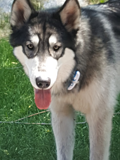 Pet Supply Store «PetSmart», reviews and photos, 10329 S State St, Sandy, UT 84070, USA