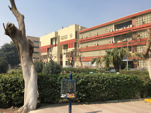 Faculty of Computer and Information Sciences - Ain Shams University