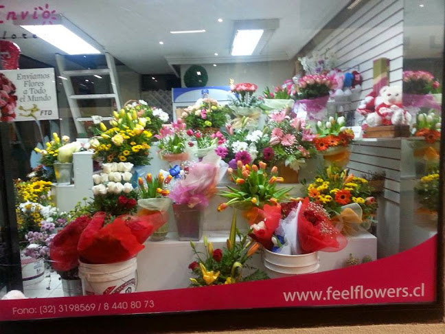 Comentarios y opiniones de Floreria Feel Flowers