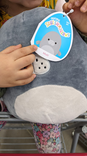 Variety Store «Five Below», reviews and photos, 3420 FM 544 #700, Wylie, TX 75098, USA