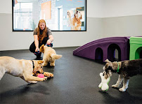 Dogtopia of Omaha-West - Photo 6 - Car repair in Omaha, NE, Omaha