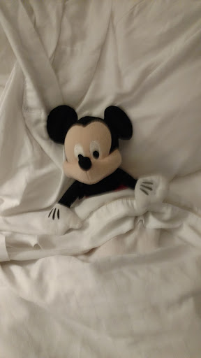 Thrift Store «Goodwill Ruskin Sun Point Store», reviews and photos