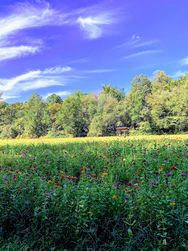 Tourist Attraction «Still Family Farm, LLC», reviews and photos, 5630 Macland Rd, Powder Springs, GA 30127, USA
