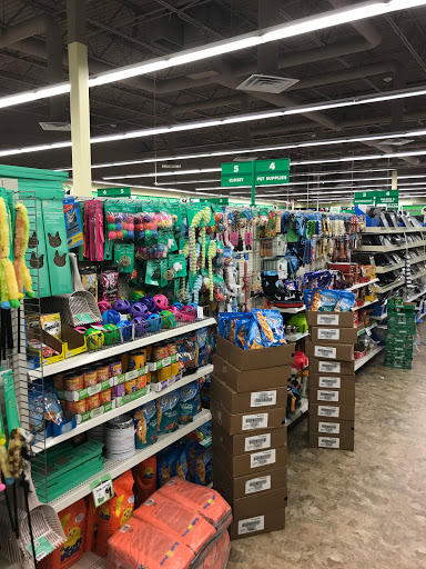 Dollar Store «Dollar Tree», reviews and photos, 6205 Coit Rd #200, Plano, TX 75024, USA