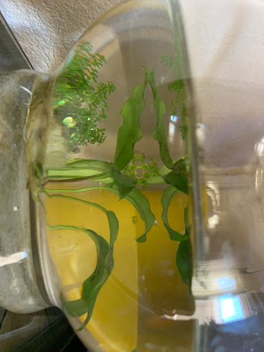 Pet Supply Store «Petco Animal Supplies», reviews and photos, 5565 S Virginia St, Reno, NV 89502, USA