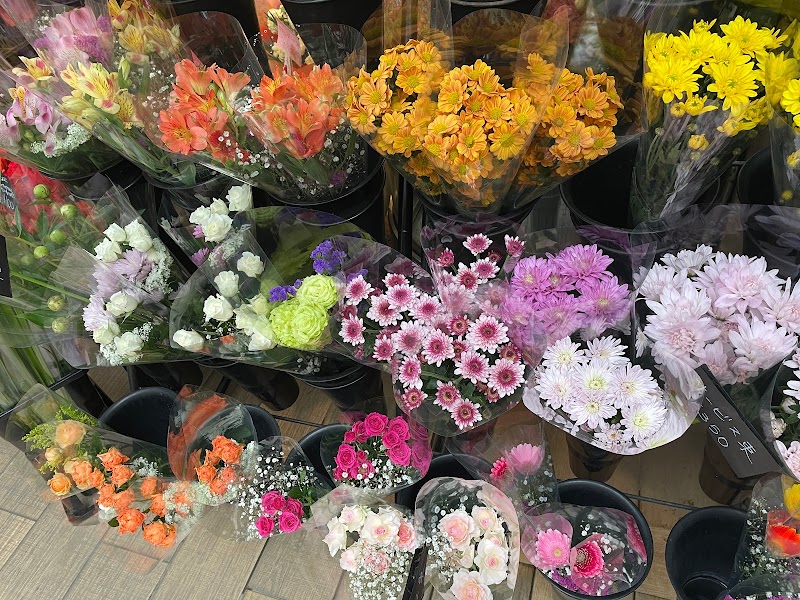 Tammy Flower 東京都目黒区鷹番 花屋 花 グルコミ