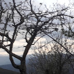 Photo n°1 de l'avis de Carmelo.a fait le 17/04/2022 à 10:32 sur le  Campo Base Corvo à Corvara