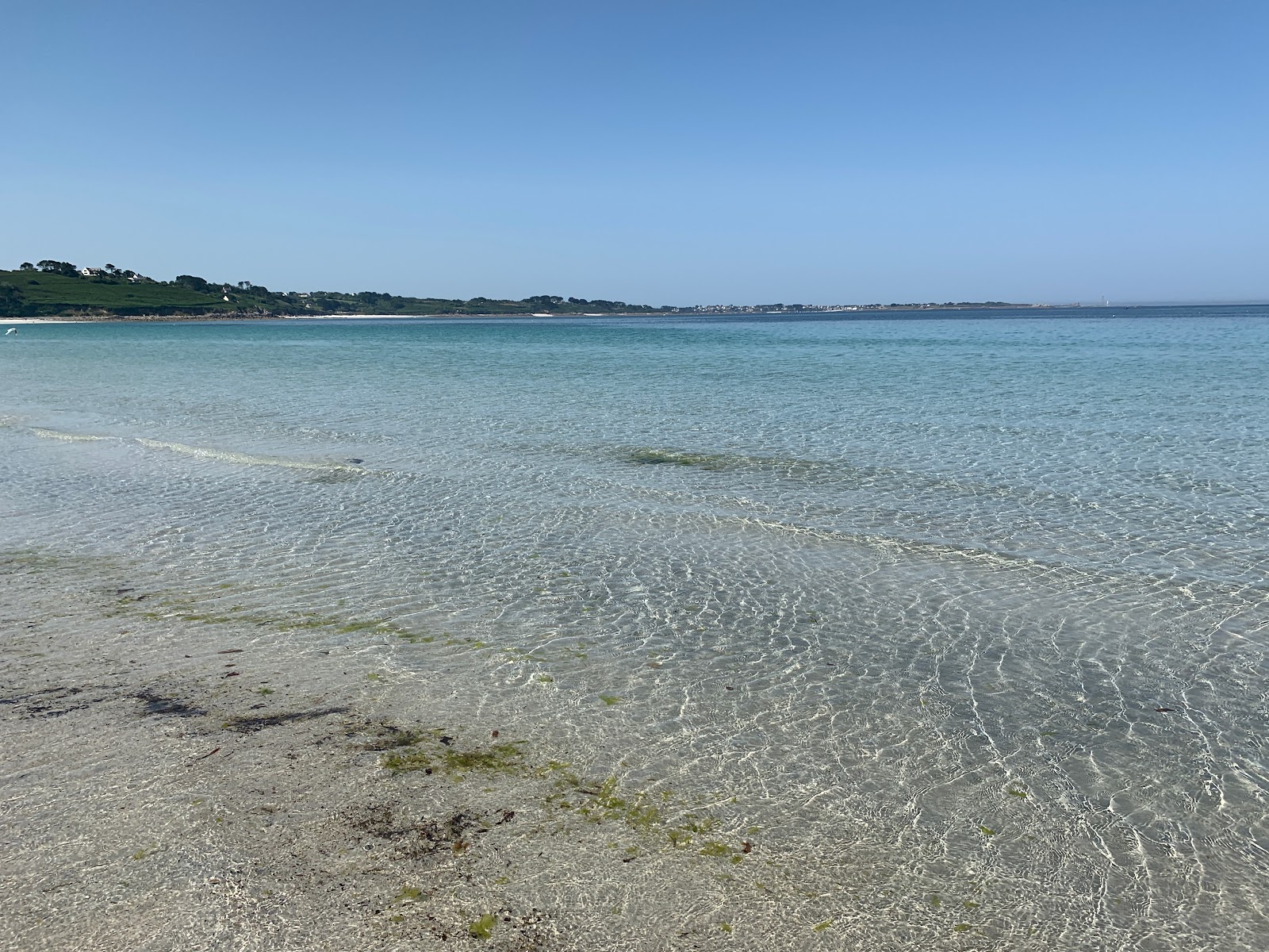 Plage du Vougo'in fotoğrafı vahşi alan