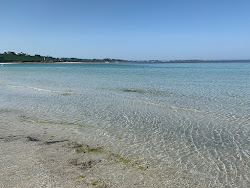 Plage du Vougo'in fotoğrafı vahşi alan