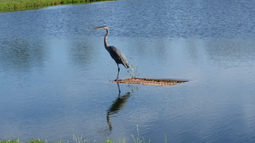 Golf Course «Turtle Creek Golf Course», reviews and photos, 303 W Ridge Pike, Limerick, PA 19468, USA