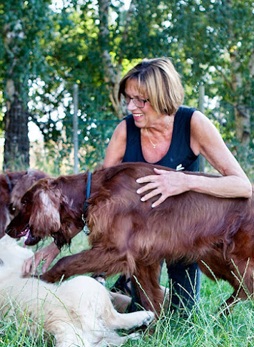 Telefonnummer for Anett Weber