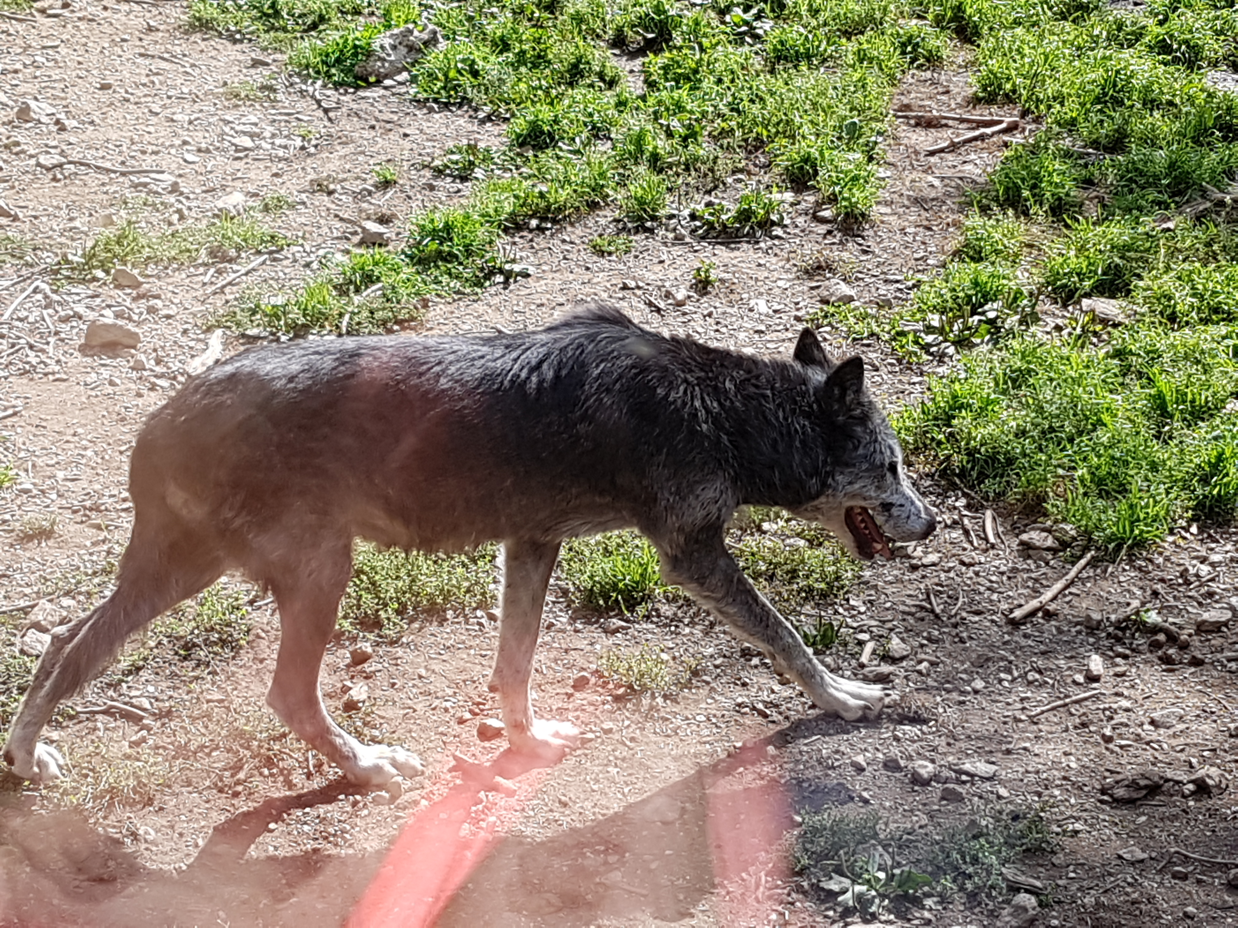 Photo n° 2 de l'avis de jennifer.a fait le 31/08/2019 à 14:48