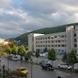 Zonguldak Karaelmas Üniversitesi Tıp Fakültesi