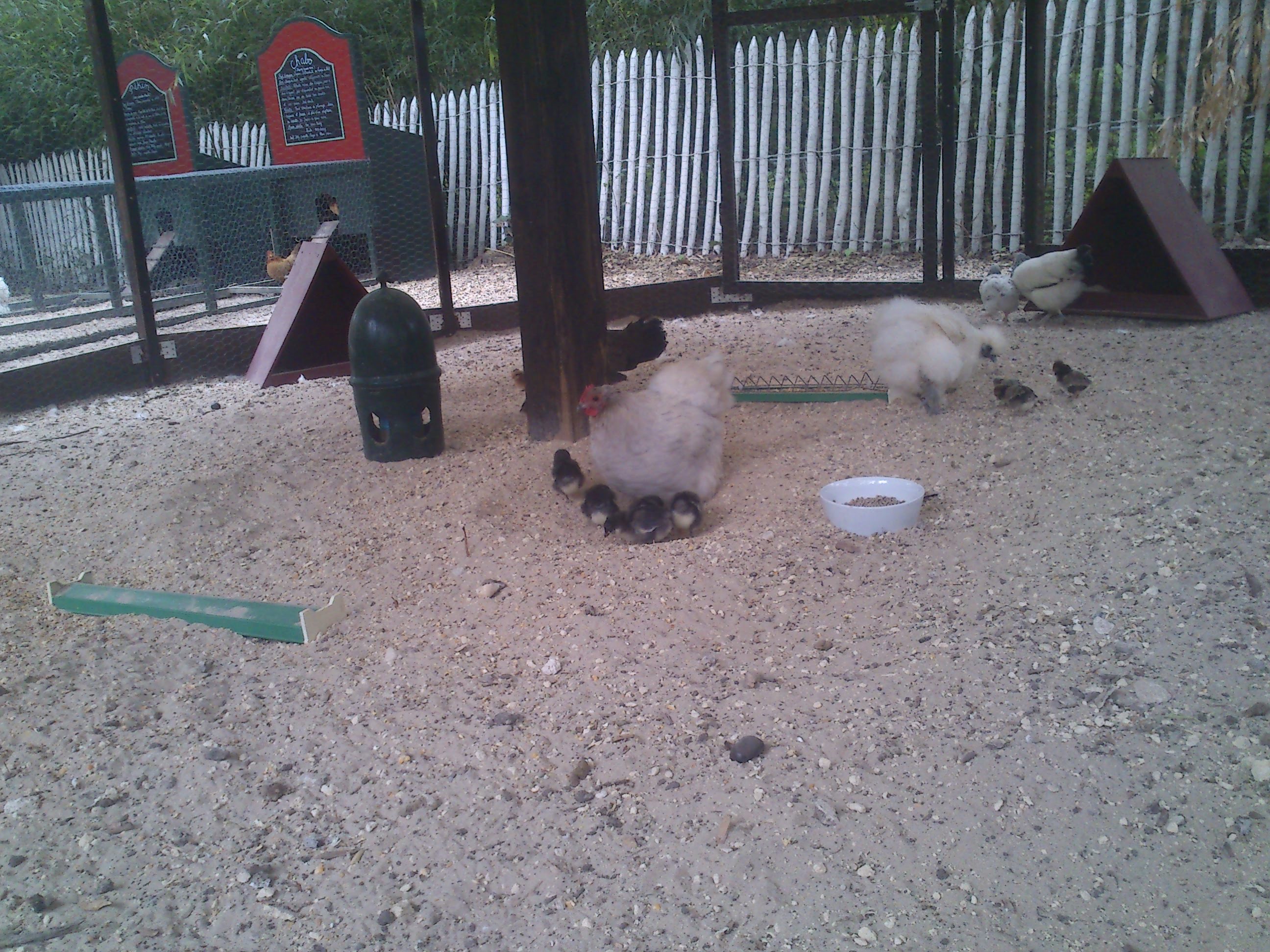 Photo n° 25 de l'avis de Guillaume.A fait le 10/05/2013 à 20:15