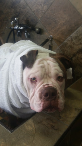 Pet Store «Pet Valu», reviews and photos, 73 Highland Ave A, East Providence, RI 02914, USA