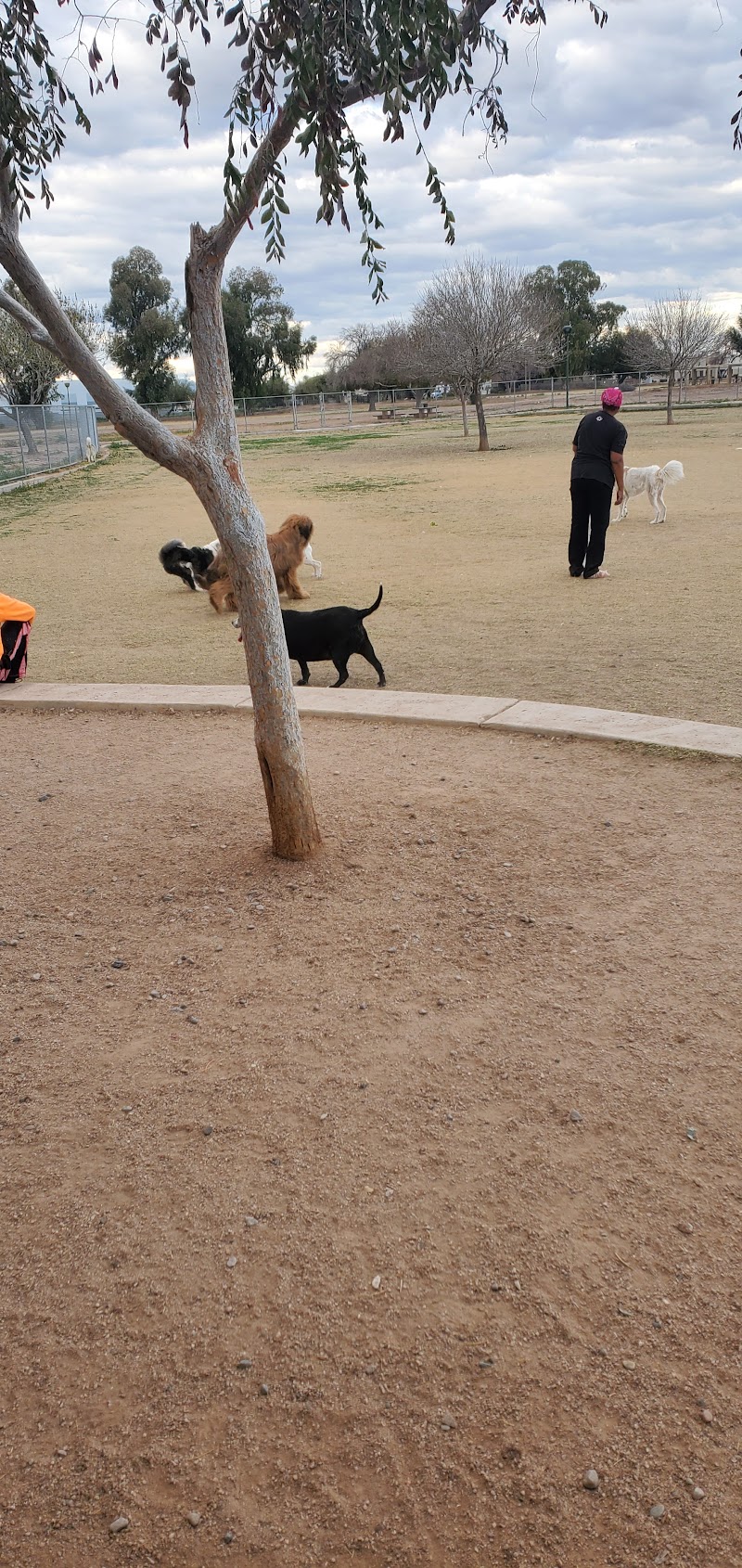 Esteban Dog Park