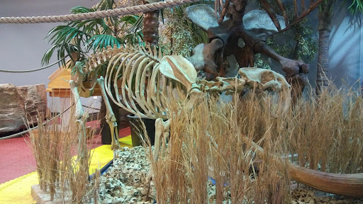 Tourist Attraction «IMAG History & Science Center (formerly Imaginarium Science Center)», reviews and photos, 2000 Cranford Ave, Fort Myers, FL 33916, USA