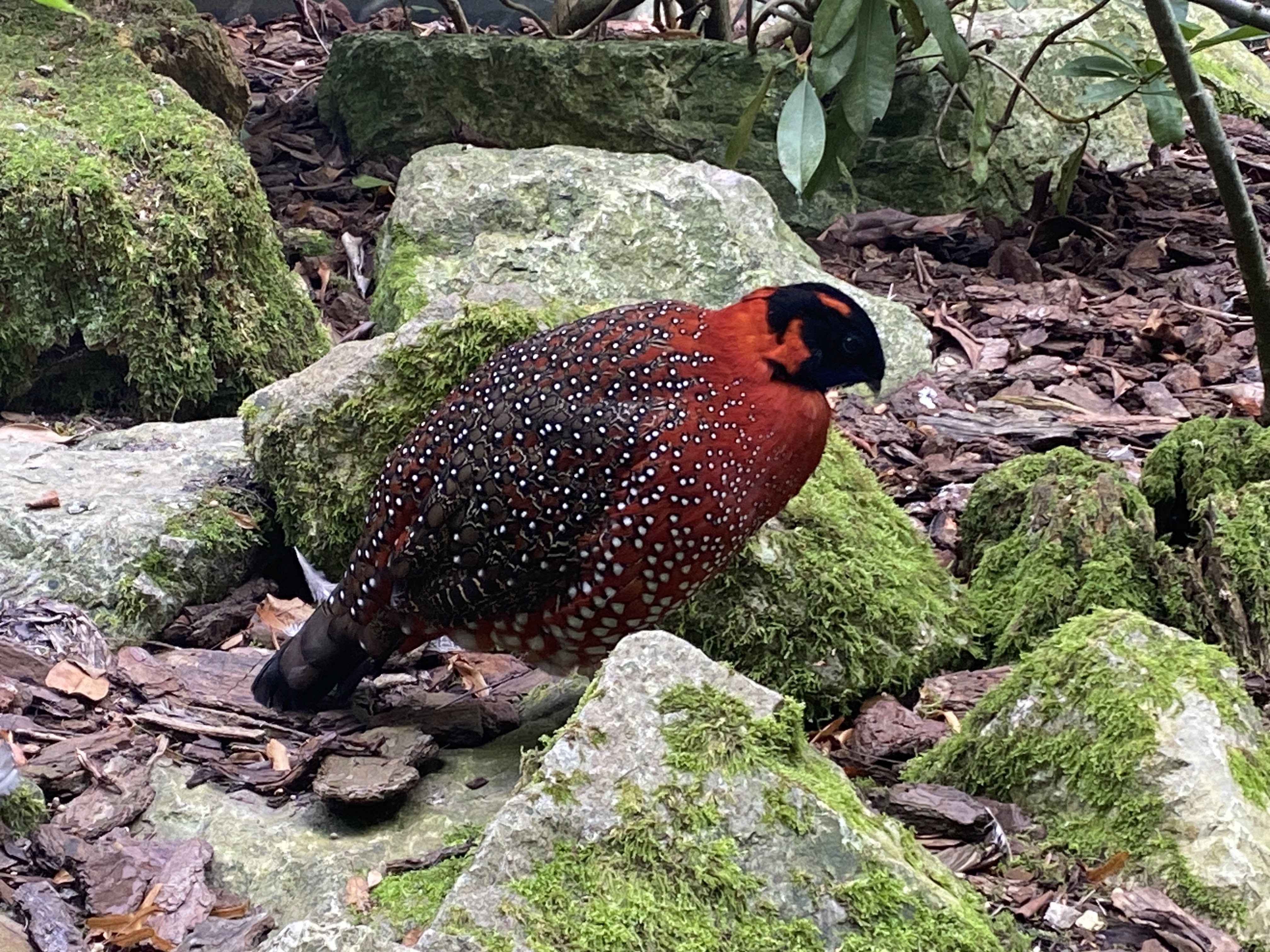 Photo n° 37 de l'avis de Mickael.e fait le 11/08/2023 à 05:54