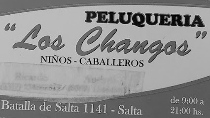 Los Changos