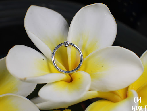 Explore bear tattoo ideas for guys, creative tattoo ideas in Garden Grove, available at CM Hurt Piercing & Jewelry