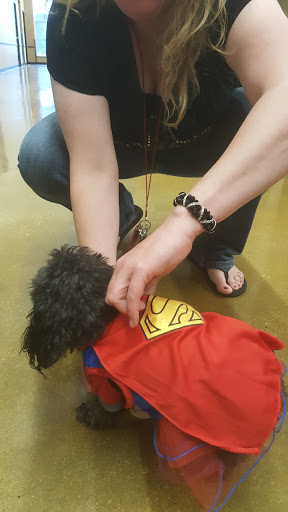 Pet Supply Store «PetSmart», reviews and photos, 320 W Town Square Way, Oak Creek, WI 53154, USA