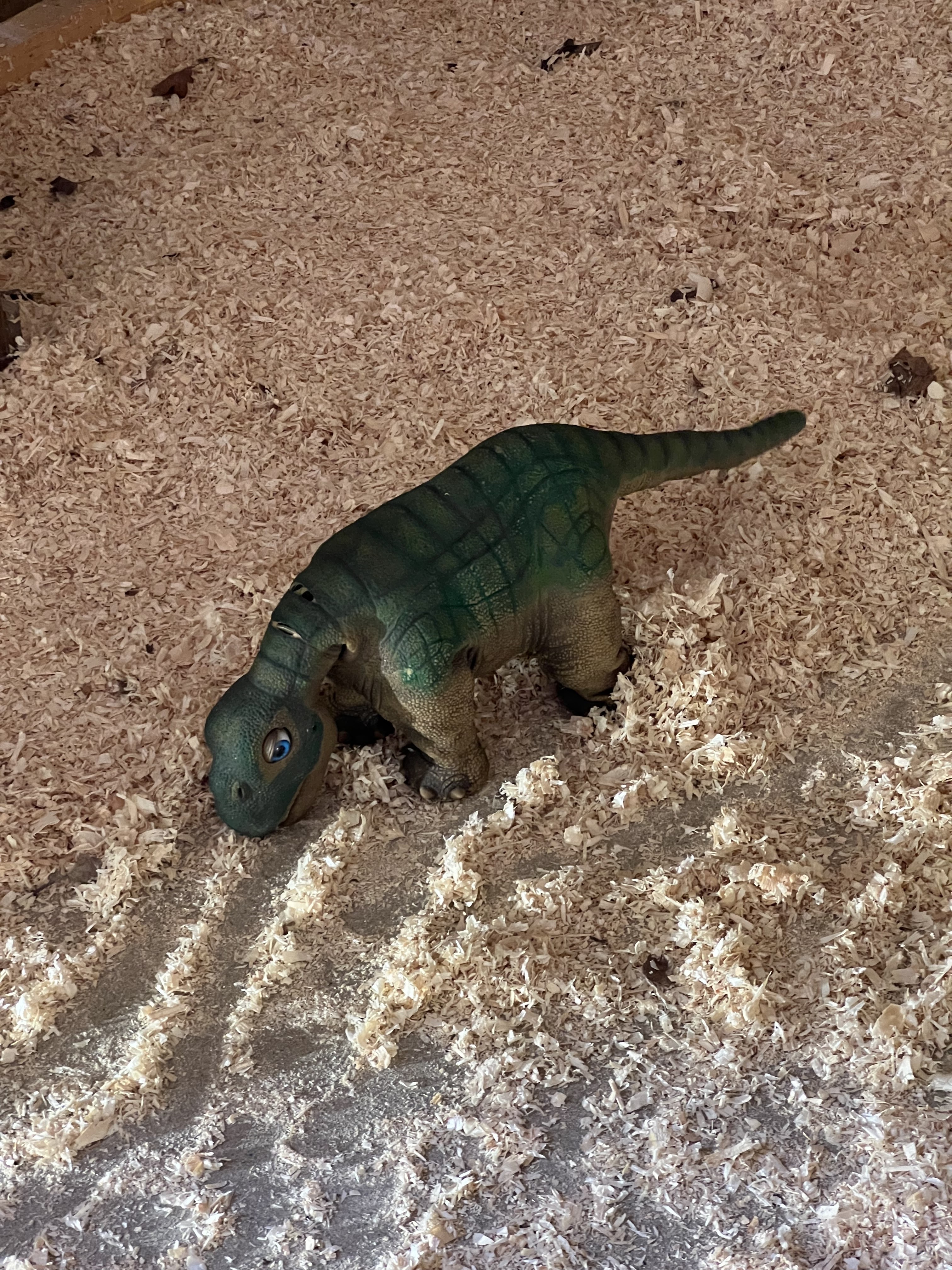 Photo n° 2 de l'avis de Bry_44n. fait le 04/08/2023 à 17:00