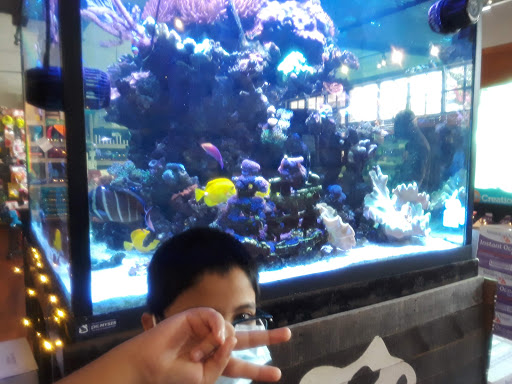 Tropical Fish Store «Creation Pet», reviews and photos, 8265 Alabama Rd NE, Woodstock, GA 30189, USA