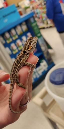 Pet Supply Store «PetSmart», reviews and photos, 1705 Mall of Georgia Blvd, Buford, GA 30519, USA