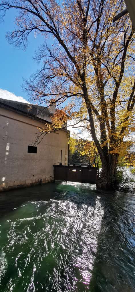 Photo n° 47 de l'avis de pascalsaintjames. fait le 20/11/2023 à 14:11
