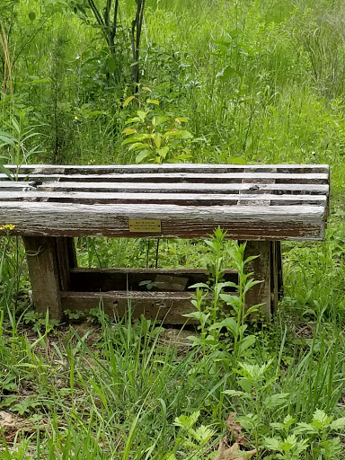 State Park «Goosepond Mountain State Park», reviews and photos, 1198 New York 17M, Chester, NY 10918, USA