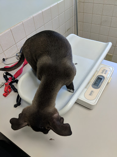 4368 Leary Way NW, Seattle, WA 98107, USA