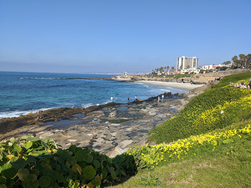 La Jolla Tide Pools image