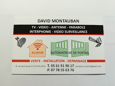 Montauban David à Rieumes