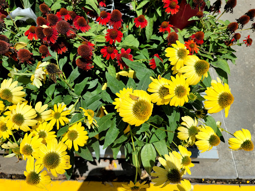 Home Improvement Store «The Home Depot», reviews and photos, 5455 Fairmont Pkwy, Pasadena, TX 77505, USA