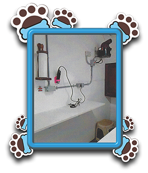 Pet Store «AA Ridgewood Kennels II», reviews and photos, 5401 Lincoln Hwy, Gap, PA 17527, USA