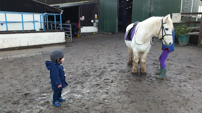 Reviews of Telford Equestrian Centre in Telford - School