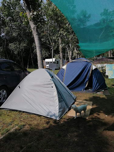 Comentarios y opiniones de Camping Cordillera