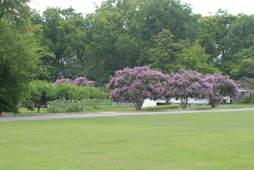 Historical Landmark «Helen Keller Birth Place», reviews and photos, 300 N Commons St W, Tuscumbia, AL 35674, USA
