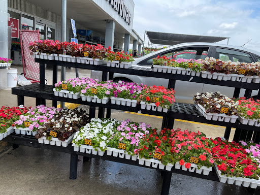 Hardware Store «Westlake Ace Hardware», reviews and photos, 10130 E State Rte 350, Raytown, MO 64138, USA