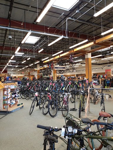 Camping Store «REI», reviews and photos, 279 Salem St, Reading, MA 01867, USA