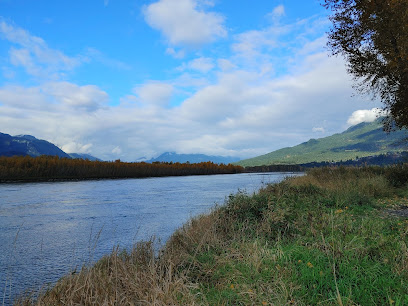 Fraser river view